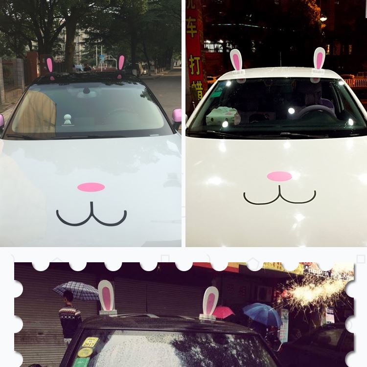 car roof sticker