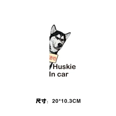 Cute Animal Car Dog Decorate Sticker