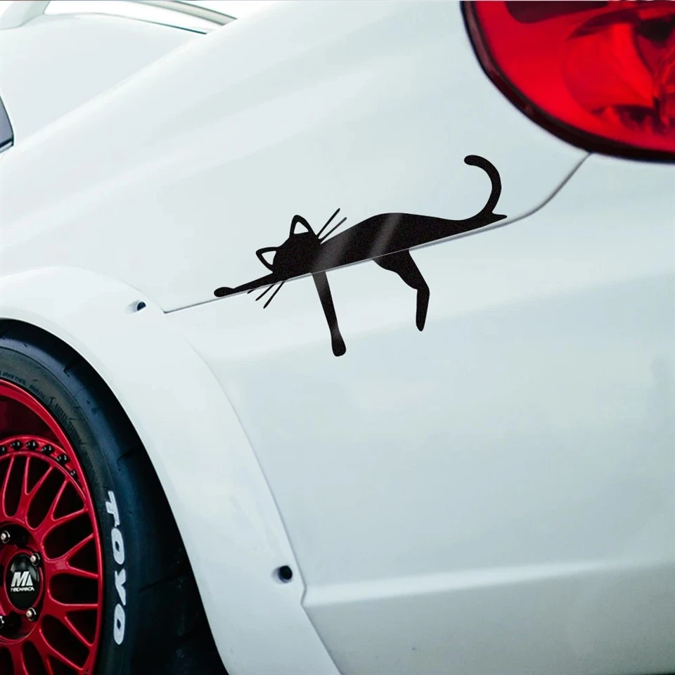 ملصقات CAT المضحكة فينيل شارات الديكور