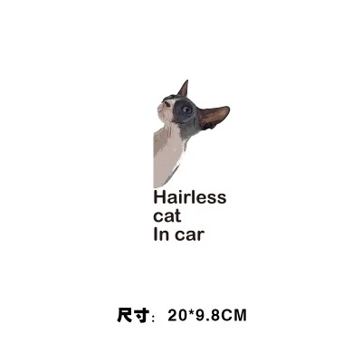ملصق القط