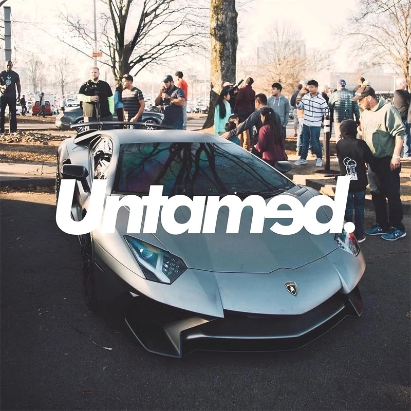 ملصقات نوافذ خلفية أمامية Untamed